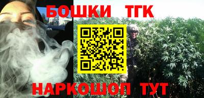 гидропоника Сланцы