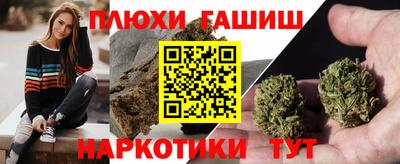 гидропоника Сланцы