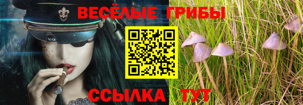 Галлюциногенные грибы мицелий Богданович