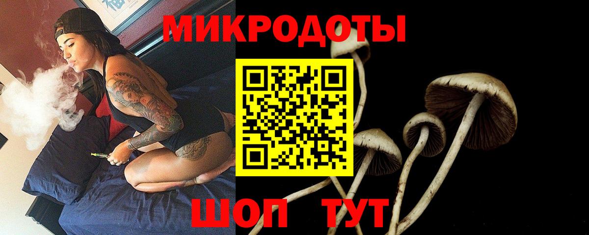 Богданович  даркнет сайт  Вход с VPN  Галлюциногенные грибы мухоморы 