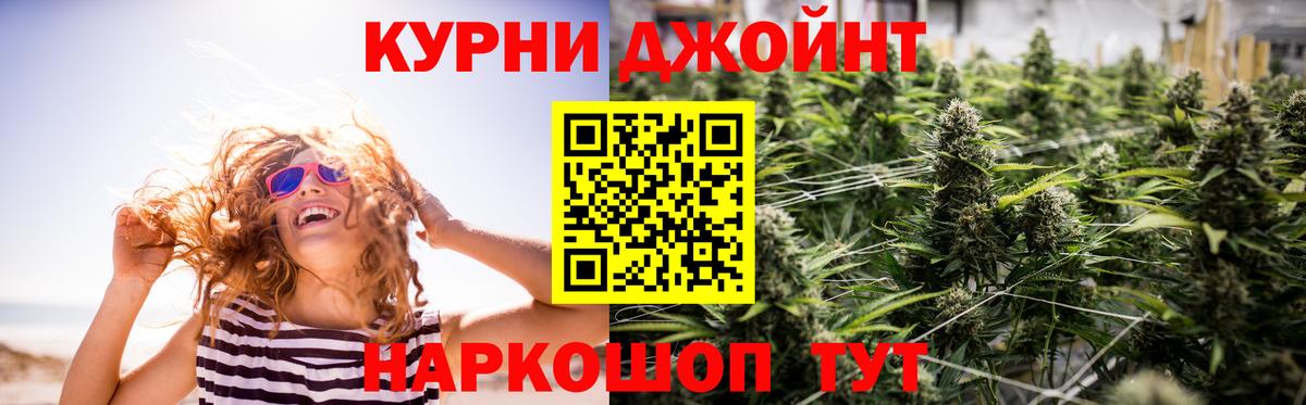 Бошки Шишки SATIVA & INDICA  Бошки Шишки гибрид  Богданович  Конопля ГИДРОПОН  Вход с VPN  Каннабис White Widow 